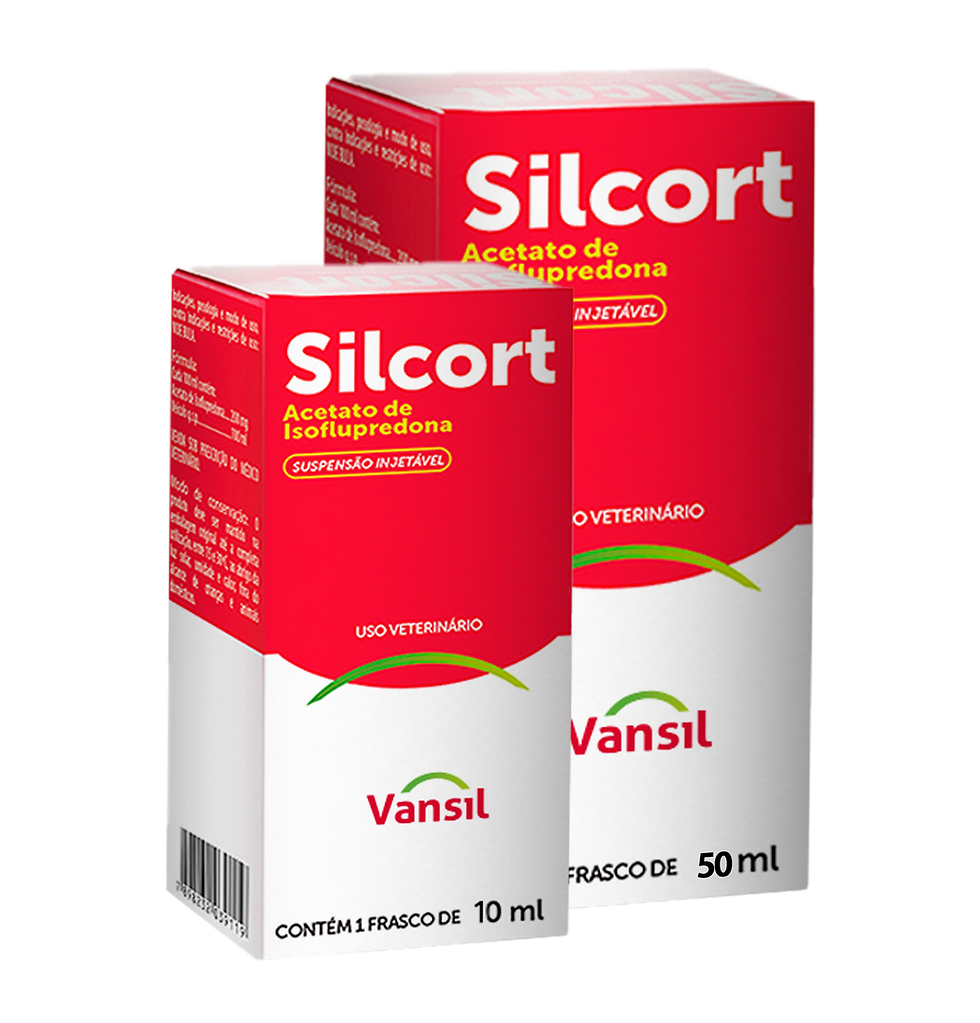 silc img 2.png
