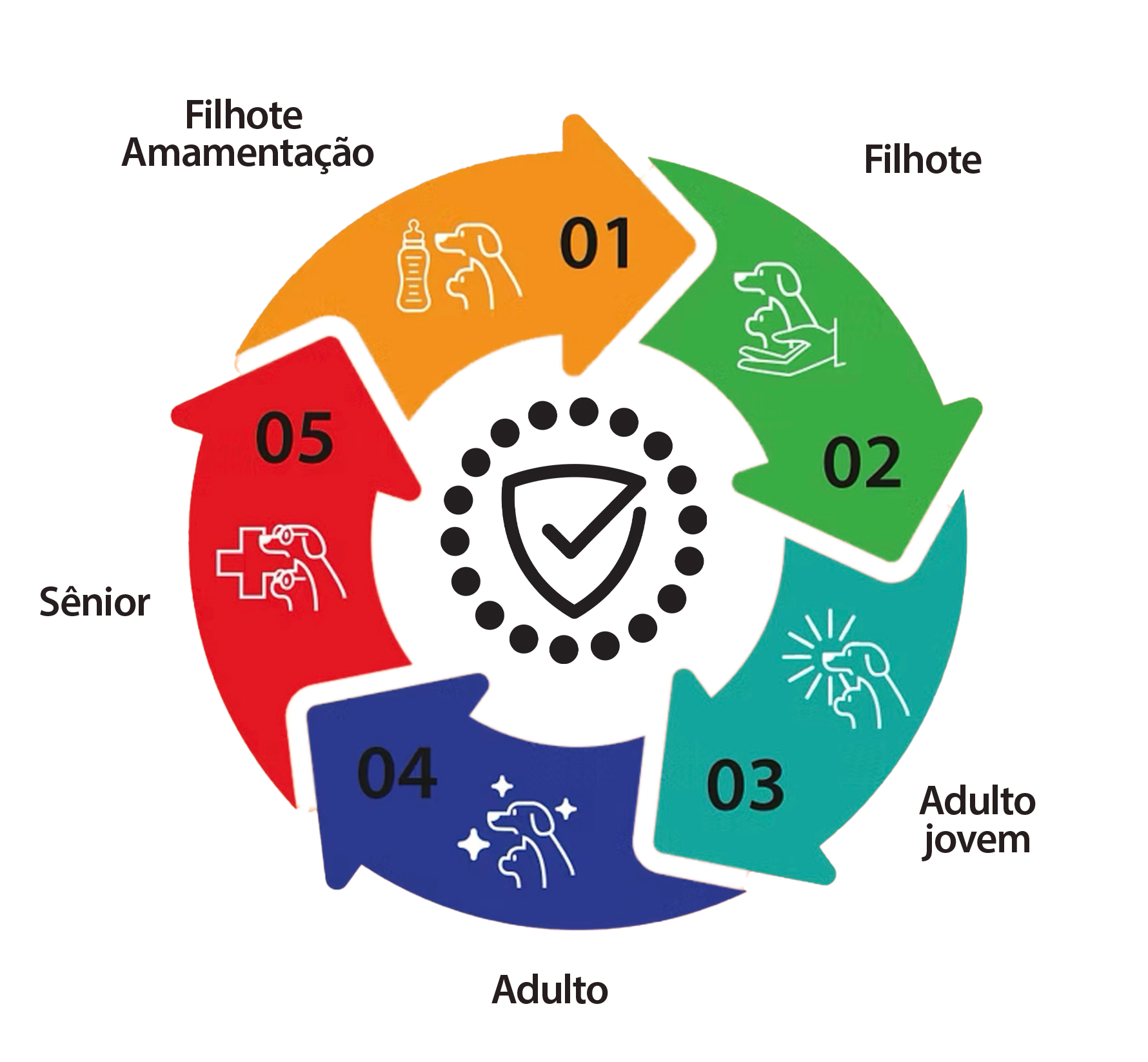 Ciclo de vida do Proteção 360