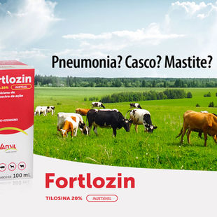 Pneumonia? Casco? Mastite? Um só tratamento para grandes desafios