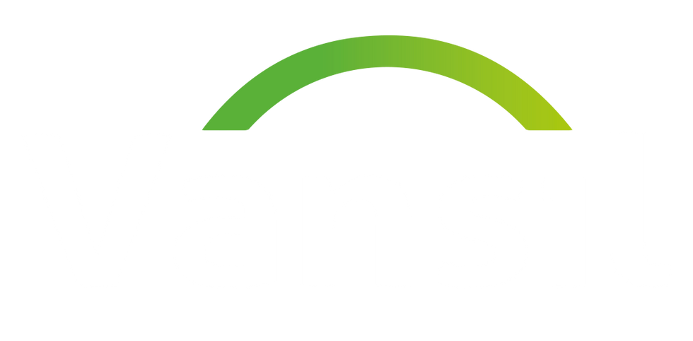 logo vansil branco.png