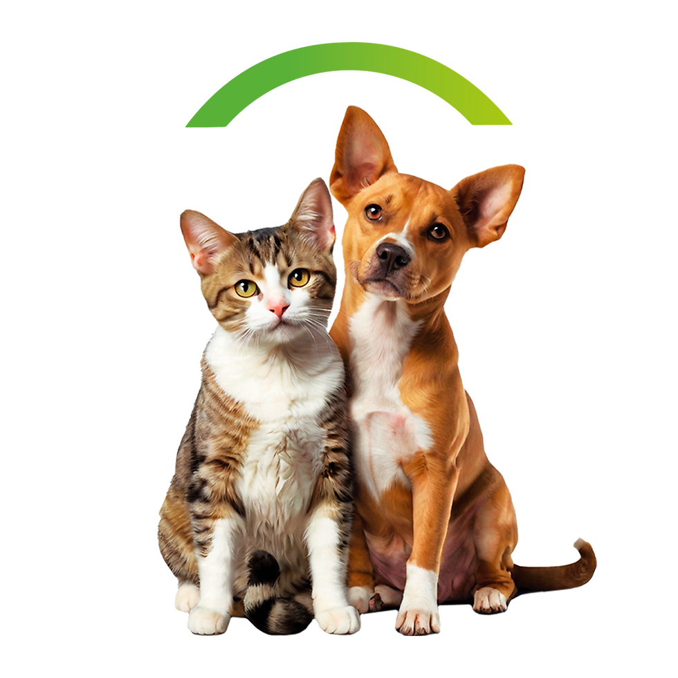 PETS Vansil