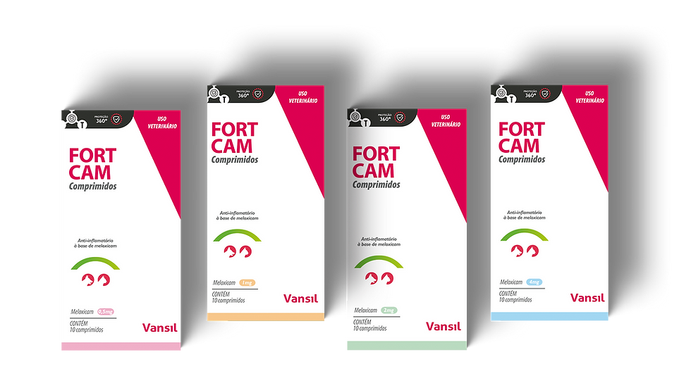 Apresentação fortcam site ok.png