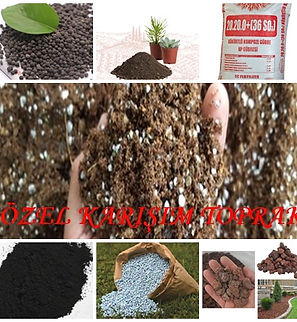 ÖZEL KARIŞIM FİX.jpg