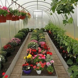 GettyImages-1190411433_edit 1.jpg