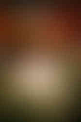 This Black Friday, weāre bringing you something truly special! ⨠šøĀ Spring Backyard Photo Sessions (Jan & Mar 2026)Ā šæĀ Held at our private venue in Yuen LongĀ šĀ Featuring a dreamy lavender flower bed and a vibrant colorful flower area ā the perfect backdrop to bloom up the happiness of families. šĀ Black Friday Offer: Enjoy 30% OFF based on listed price!Ā š
Ā Limited time only ā donāt miss the chance to plan your familyās joyful spring memories at a valuable rate. Letās capture love, laughter, and the beauty of spring together. ššš¼ š
Ā JANUARY & MARCH 2026 šĀ BACKYARD - Our Private Venue at Yuen Long šøĀ Black Friday ē¹å„åŖę ā ę„ę„ BACKYARD ęå½± šø ä»å Black Fridayļ¼ęåēŗä½ åø¶åē¹å„é©åļ¼āØ šøĀ ę„ę„ BACKYARD ęå½±ļ¼2026幓 1ę å 3ęļ¼Ā šæĀ ę¼ęå å
ęē§äŗŗå “å°čč”Ā šĀ äø»é”å
ę¬å¤¢å¹»å
č°č”£čč±åŗåē¹½ē“å
彩č²č±å ā ēŗå®¶åŗåø¶åęå¹øē¦å
ę„ę„čęÆć šĀ Black Friday åŖę ļ¼ęę listed å¹ę ¼å³äŗ« 30% ęę£ļ¼Ā š
Ā éęåŖę ā ęę”ę©ęļ¼ä»„č¶
å¼å¹é¢čØåä½ å
ę„ę„å®¶åŗåę¶ć č®ęåäøé½ęęęćę”ē¬åę„ę„å
ē¾å„½ļ¼ššš¼