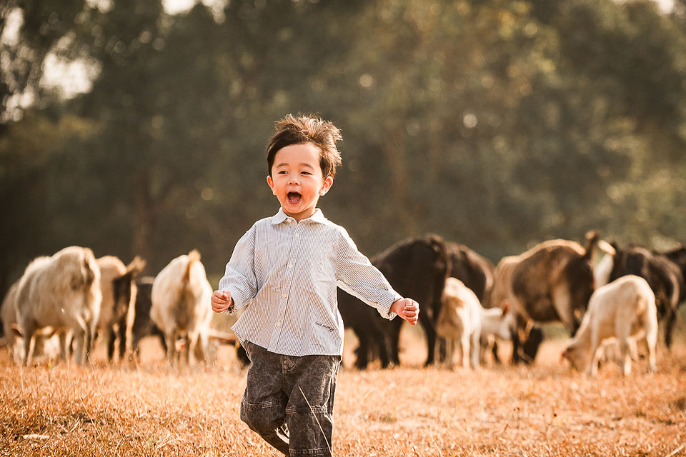🐐✨ Here is WILD OUTDOOR FAMILY PHOTO SESSION — a rare wildlife photo shoot with over a hundred goats in a natural outdoor. This unique family portrait session lets children run freely among the goats, laugh, and explore nature, while parents join in to create unforgettable outdoor family photos in Hong Kong.    🚗 The location is easy to reach by car, making this family‑friendly outdoor photography session simple and stress‑free. And if Dad drives a 4x4 or SUV, his beloved car can even become part of the background — combining goats, nature, and family into one perfect wild lifestyle photo shoot.    This is more than just pictures; it’s about capturing authentic Hong Kong lifestyle photography filled with joy, connection, and natural beauty.  📷 We are Play With Picture — your trusted choice for family photography in Hong Kong, outdoor photo sessions, and unique seasonal portraits.      🐐✨ 全新主題 —— Shepherding in WILD 家庭攝影!  超過一百隻山羊自由奔跑，帶嚟一個罕有嘅 親子野外體驗。小朋友可以同山羊一齊追逐、玩樂，喺大自然中盡情笑同跑；父母亦可以參與其中，因為呢唔單止係小朋友嘅快樂，而係一家人一齊留下珍貴回憶嘅時刻。    🚗 地點非常方便，車輛可以直達，令整個過程輕鬆無憂。(✨如果爸爸揸越野車或 SUV，仲可以利用愛車做背景，配合山羊同家庭，組合成一個完美嘅 野外家庭攝影。)    今次唔單單只係一般家庭拍攝，而係一次 野外風格攝影 - 捕捉真摯笑容、家庭連繫同大自然之美。  📷 我地係 Play With Picture — 您可信賴嘅 香港家庭攝影選擇、戶外攝影體驗同 季節限定親子相片