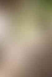 Family walking together in Hong Kong streets during City Amble family photography session  香港家庭攝影 City Amble 攝影 家庭相 香港  Parents and children laughing in Hong Kong park, lifestyle family portraits City Amble session  Grandparents strolling hand in hand with grandchildren, authentic Hong Kong family photography  Lifestyle Photography Hong Kong family portraits outdoors, Play With Picture City Amble session  Children playing in Hong Kong playground, candid family photography City Amble session  香港家庭攝影師推介，自然家庭相 City Amble 攝影  Family portraits in Hong Kong Chinese garden, capturing love and memories City Amble session