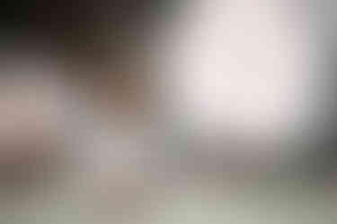 Family walking together in Hong Kong streets during City Amble family photography session  香港家庭攝影 City Amble 攝影 家庭相 香港  Parents and children laughing in Hong Kong park, lifestyle family portraits City Amble session  Grandparents strolling hand in hand with grandchildren, authentic Hong Kong family photography  Lifestyle Photography Hong Kong family portraits outdoors, Play With Picture City Amble session  Children playing in Hong Kong playground, candid family photography City Amble session  香港家庭攝影師推介，自然家庭相 City Amble 攝影  Family portraits in Hong Kong Chinese garden, capturing love and memories City Amble session