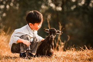 🐐✨ Here is WILD OUTDOOR FAMILY PHOTO SESSION — a rare wildlife photo shoot with over a hundred goats in a natural outdoor. This unique family portrait session lets children run freely among the goats, laugh, and explore nature, while parents join in to create unforgettable outdoor family photos in Hong Kong.    🚗 The location is easy to reach by car, making this family‑friendly outdoor photography session simple and stress‑free. And if Dad drives a 4x4 or SUV, his beloved car can even become part of the background — combining goats, nature, and family into one perfect wild lifestyle photo shoot.    This is more than just pictures; it’s about capturing authentic Hong Kong lifestyle photography filled with joy, connection, and natural beauty.  📷 We are Play With Picture — your trusted choice for family photography in Hong Kong, outdoor photo sessions, and unique seasonal portraits.      🐐✨ 全新主題 —— Shepherding in WILD 家庭攝影!  超過一百隻山羊自由奔跑，帶嚟一個罕有嘅 親子野外體驗。小朋友可以同山羊一齊追逐、玩樂，喺大自然中盡情笑同跑；父母亦可以參與其中，因為呢唔單止係小朋友嘅快樂，而係一家人一齊留下珍貴回憶嘅時刻。    🚗 地點非常方便，車輛可以直達，令整個過程輕鬆無憂。(✨如果爸爸揸越野車或 SUV，仲可以利用愛車做背景，配合山羊同家庭，組合成一個完美嘅 野外家庭攝影。)    今次唔單單只係一般家庭拍攝，而係一次 野外風格攝影 - 捕捉真摯笑容、家庭連繫同大自然之美。  📷 我地係 Play With Picture — 您可信賴嘅 香港家庭攝影選擇、戶外攝影體驗同 季節限定親子相片