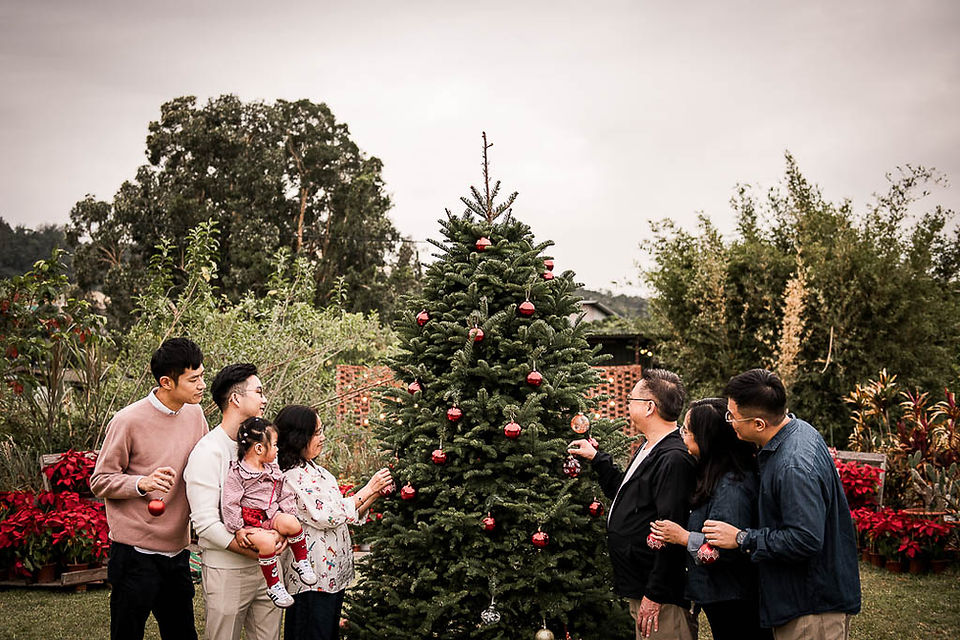 Festive outdoor Christmas family photography session at Play with Picture featuring children and parents decorated with Christmas trees and red poinsettias