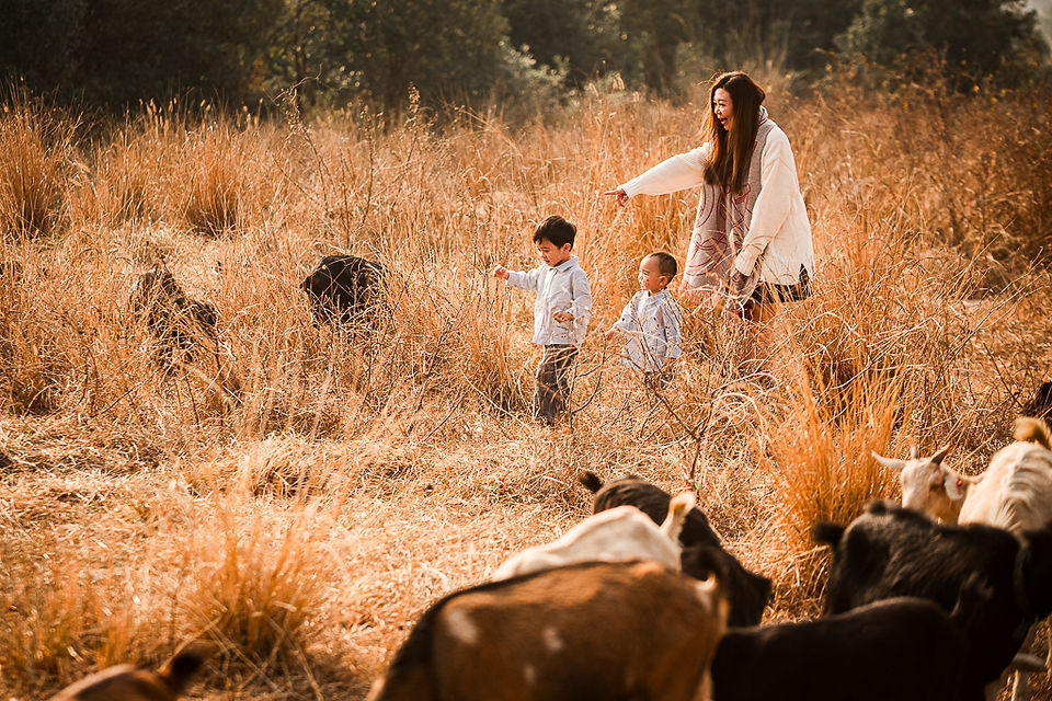 🐐✨ Here is WILD OUTDOOR FAMILY PHOTO SESSION — a rare wildlife photo shoot with over a hundred goats in a natural outdoor. This unique family portrait session lets children run freely among the goats, laugh, and explore nature, while parents join in to create unforgettable outdoor family photos in Hong Kong.    🚗 The location is easy to reach by car, making this family‑friendly outdoor photography session simple and stress‑free. And if Dad drives a 4x4 or SUV, his beloved car can even become part of the background — combining goats, nature, and family into one perfect wild lifestyle photo shoot.    This is more than just pictures; it’s about capturing authentic Hong Kong lifestyle photography filled with joy, connection, and natural beauty.  📷 We are Play With Picture — your trusted choice for family photography in Hong Kong, outdoor photo sessions, and unique seasonal portraits.      🐐✨ 全新主題 —— Shepherding in WILD 家庭攝影!  超過一百隻山羊自由奔跑，帶嚟一個罕有嘅 親子野外體驗。小朋友可以同山羊一齊追逐、玩樂，喺大自然中盡情笑同跑；父母亦可以參與其中，因為呢唔單止係小朋友嘅快樂，而係一家人一齊留下珍貴回憶嘅時刻。    🚗 地點非常方便，車輛可以直達，令整個過程輕鬆無憂。(✨如果爸爸揸越野車或 SUV，仲可以利用愛車做背景，配合山羊同家庭，組合成一個完美嘅 野外家庭攝影。)    今次唔單單只係一般家庭拍攝，而係一次 野外風格攝影 - 捕捉真摯笑容、家庭連繫同大自然之美。  📷 我地係 Play With Picture — 您可信賴嘅 香港家庭攝影選擇、戶外攝影體驗同 季節限定親子相片