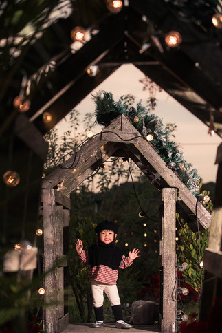 🎅🏻 This year, we’re bringing the magic of Christmas to life with our most enchanting setup yet — and you’re invited to be part of it.  ✨ What’s waiting for you:    🎄 A real 8-foot Christmas tree standing tall in our private backyard  🌺 Over 200 vibrant Poinsettias creating a rich, festive backdrop  🎁 A unique setup we redesign every year     Whether you're planning your holiday cards, a family keepsake, or simply want to celebrate the season in style — this is your moment.