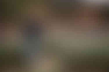 🌸 Family Photo Sessions in Our Blooming Natural Haven 🌸    Step into a world of beauty and love at our private outdoor venue! Surrounded by vibrant blooming flowers, this tranquil setting is the perfect place to capture your family’s most precious moments.    Our natural, serene environment allows kids to laugh, run, and play freely, ensuring we capture those genuine smiles and heartfelt family bonds. This isn’t just a photo session—it’s an experience of creating memories you’ll cherish forever.