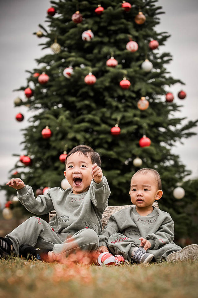 Festive outdoor Christmas family photography session at Play with Picture featuring children and parents decorated with Christmas trees and red poinsettias