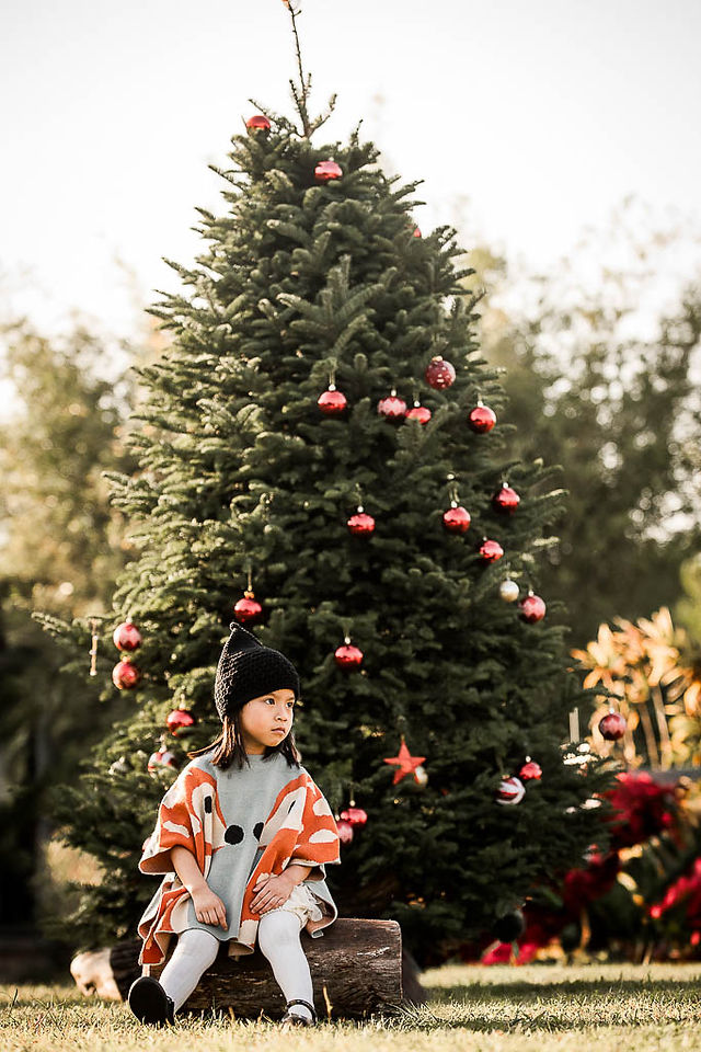 Festive outdoor Christmas family photography session at Play with Picture featuring children and parents decorated with Christmas trees and red poinsettias
