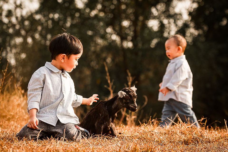 🐐✨ Here is WILD OUTDOOR FAMILY PHOTO SESSION — a rare wildlife photo shoot with over a hundred goats in a natural outdoor. This unique family portrait session lets children run freely among the goats, laugh, and explore nature, while parents join in to create unforgettable outdoor family photos in Hong Kong.    🚗 The location is easy to reach by car, making this family‑friendly outdoor photography session simple and stress‑free. And if Dad drives a 4x4 or SUV, his beloved car can even become part of the background — combining goats, nature, and family into one perfect wild lifestyle photo shoot.    This is more than just pictures; it’s about capturing authentic Hong Kong lifestyle photography filled with joy, connection, and natural beauty.  📷 We are Play With Picture — your trusted choice for family photography in Hong Kong, outdoor photo sessions, and unique seasonal portraits.      🐐✨ 全新主題 —— Shepherding in WILD 家庭攝影!  超過一百隻山羊自由奔跑，帶嚟一個罕有嘅 親子野外體驗。小朋友可以同山羊一齊追逐、玩樂，喺大自然中盡情笑同跑；父母亦可以參與其中，因為呢唔單止係小朋友嘅快樂，而係一家人一齊留下珍貴回憶嘅時刻。    🚗 地點非常方便，車輛可以直達，令整個過程輕鬆無憂。(✨如果爸爸揸越野車或 SUV，仲可以利用愛車做背景，配合山羊同家庭，組合成一個完美嘅 野外家庭攝影。)    今次唔單單只係一般家庭拍攝，而係一次 野外風格攝影 - 捕捉真摯笑容、家庭連繫同大自然之美。  📷 我地係 Play With Picture — 您可信賴嘅 香港家庭攝影選擇、戶外攝影體驗同 季節限定親子相片