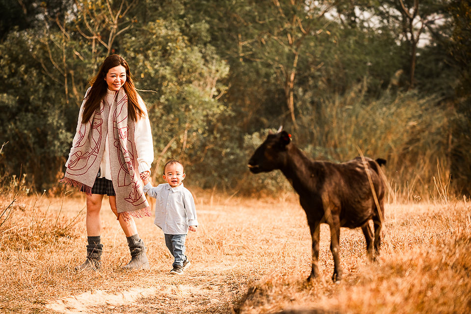 🐐✨ Here is WILD OUTDOOR FAMILY PHOTO SESSION — a rare wildlife photo shoot with over a hundred goats in a natural outdoor. This unique family portrait session lets children run freely among the goats, laugh, and explore nature, while parents join in to create unforgettable outdoor family photos in Hong Kong.    🚗 The location is easy to reach by car, making this family‑friendly outdoor photography session simple and stress‑free. And if Dad drives a 4x4 or SUV, his beloved car can even become part of the background — combining goats, nature, and family into one perfect wild lifestyle photo shoot.    This is more than just pictures; it’s about capturing authentic Hong Kong lifestyle photography filled with joy, connection, and natural beauty.  📷 We are Play With Picture — your trusted choice for family photography in Hong Kong, outdoor photo sessions, and unique seasonal portraits.      🐐✨ 全新主題 —— Shepherding in WILD 家庭攝影!  超過一百隻山羊自由奔跑，帶嚟一個罕有嘅 親子野外體驗。小朋友可以同山羊一齊追逐、玩樂，喺大自然中盡情笑同跑；父母亦可以參與其中，因為呢唔單止係小朋友嘅快樂，而係一家人一齊留下珍貴回憶嘅時刻。    🚗 地點非常方便，車輛可以直達，令整個過程輕鬆無憂。(✨如果爸爸揸越野車或 SUV，仲可以利用愛車做背景，配合山羊同家庭，組合成一個完美嘅 野外家庭攝影。)    今次唔單單只係一般家庭拍攝，而係一次 野外風格攝影 - 捕捉真摯笑容、家庭連繫同大自然之美。  📷 我地係 Play With Picture — 您可信賴嘅 香港家庭攝影選擇、戶外攝影體驗同 季節限定親子相片