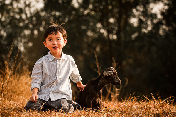 🐐✨ Lifetime wildlife photo session with over a hundred goats!
In this unique outdoor experience, children can run freely among the goats, laugh, and explore nature in a way that’s rare in Hong Kong. Parents are part of the story too, joining in to create portraits that celebrate family love and adventure.
More than just pictures; it’s about capturing authentic Hong Kong lifestyle photography filled with joy, connection, and natural beauty.