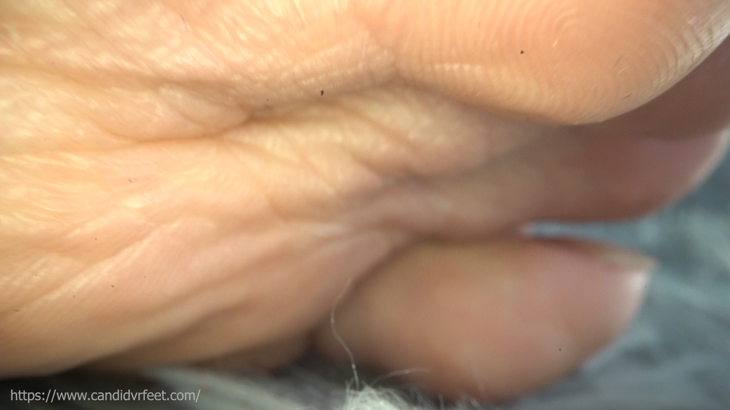 Zhizhi's Toe Tip Focus (Marco 01)