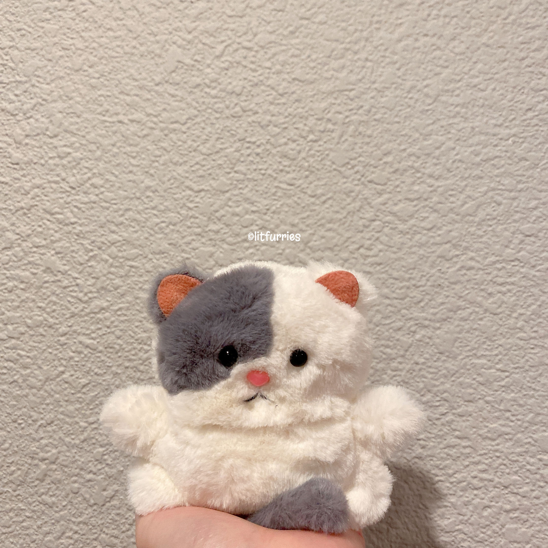 GREY & WHITE KITTEN CASE FOR SAMSUNG GALAXY BUDS 3, BUDS 3 PRO