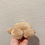 Thumbnail: TEDDY BEARCase for Sennheiser Momentum True Wireless 3/ Momentum True Wireless 4