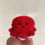 Thumbnail: OTIS THE OCTOPUS Pocket Plush 
