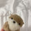 Thumbnail: OTTER Pocket Pet