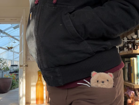 A teddy bear case can be fit in to pocket