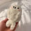 Thumbnail: SEAL PUP Pocket Pet