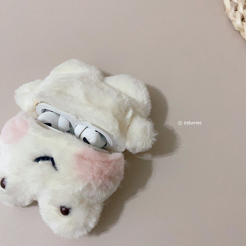 Thumbnail: SNOW FROG Earphone Case