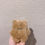 Thumbnail: TEDDY BEAR CASE FOR SAMSUNG GALAXY BUDS 3, BUDS 3 PRO