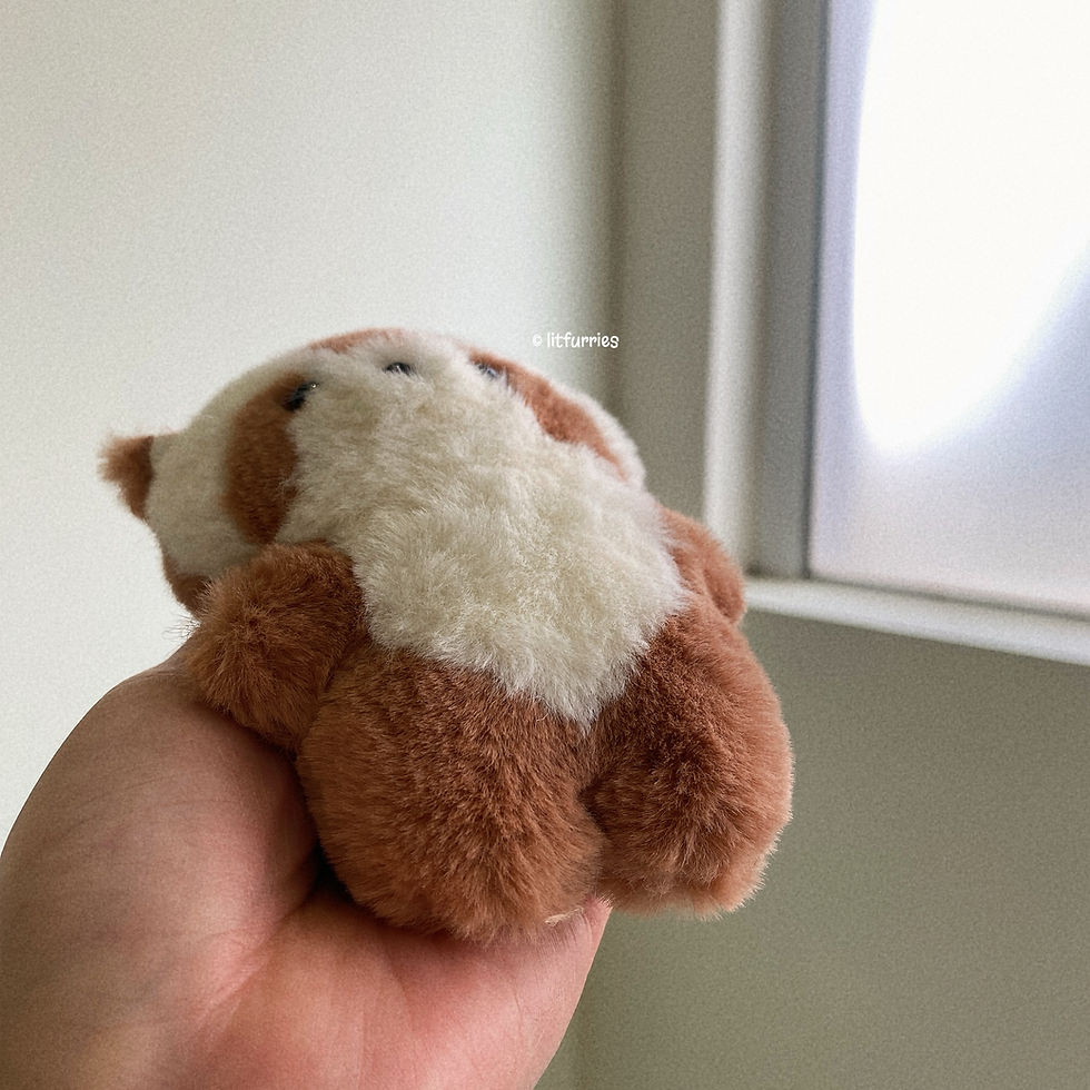 Thumbnail: RACCOON Pocket Plush 
