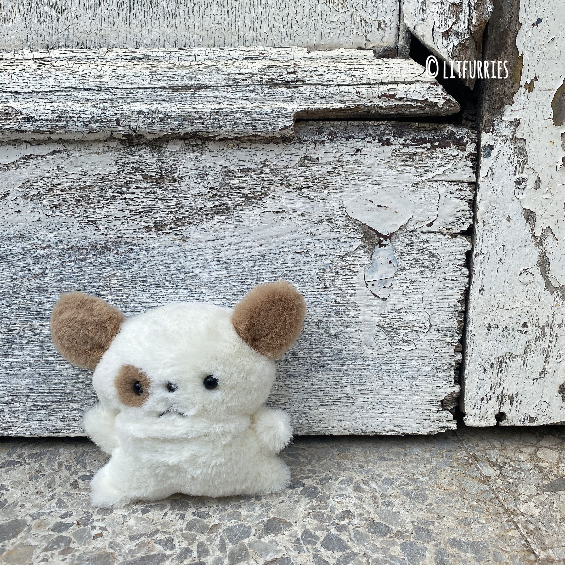 SPOTTED PUPPY Earphone Case