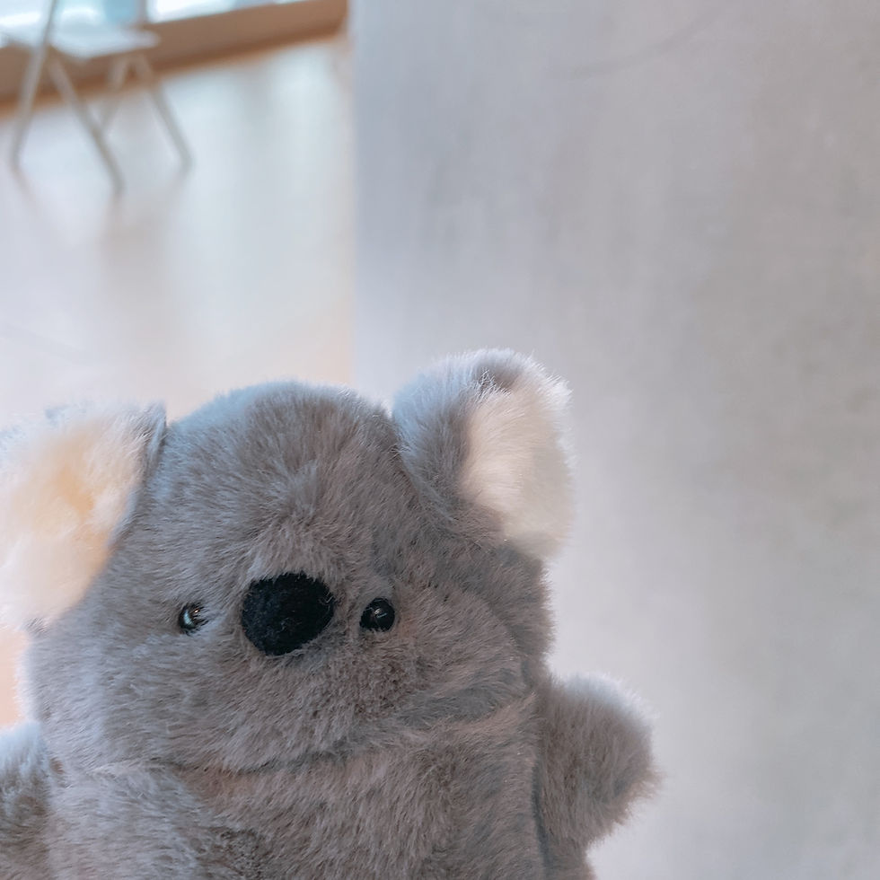 Thumbnail: BABY PINK KOALA AIRPODS CASE