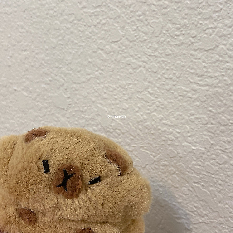 Thumbnail: CAPYBARA BOSE ULTRA OPEN CASE COVER