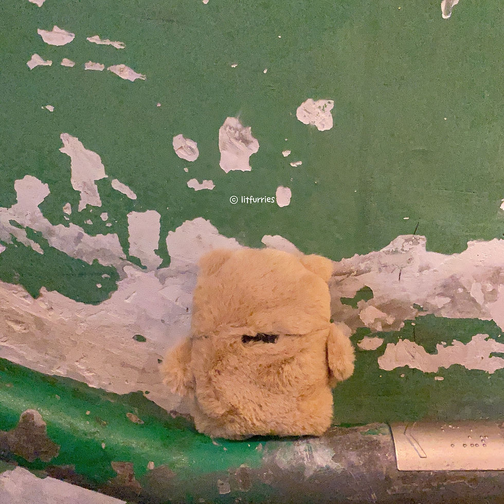 Thumbnail: TEDDY BEAR CASE FOR BOSE QUIETCOMFORT EARBUDS II/ QUIETCOMFORT ULTRA/ ULTRA OPEN