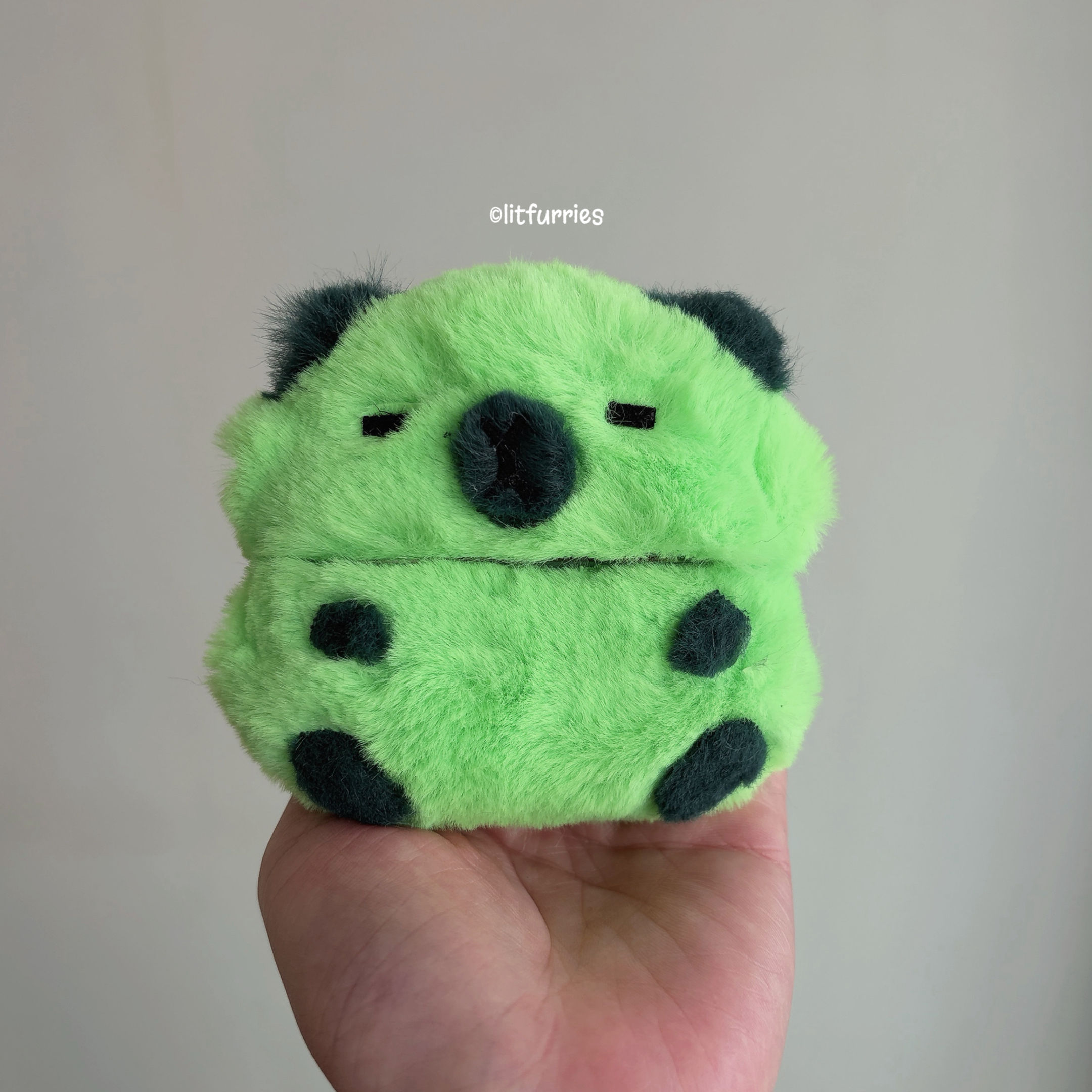 GREENIE CAPYBARA Earphone Case