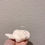 Thumbnail: WHITE SEAL CASE FOR SAMSUNG GALAXY BUDS 3, BUDS 3 PRO