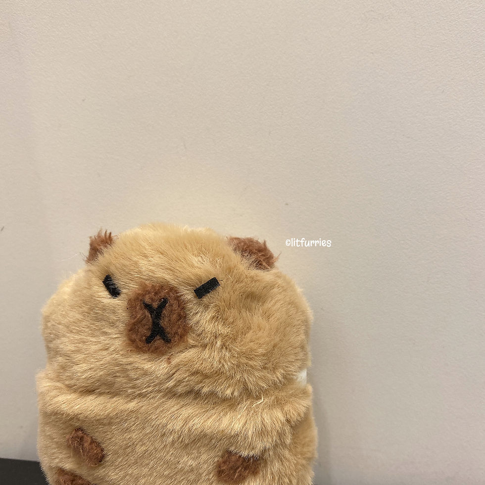 Thumbnail: CAPYBARA CASE FOR BOSE QUIETCOMFORT EARBUDS II/ QUIETCOMFORT ULTRA/ ULTRA OPEN