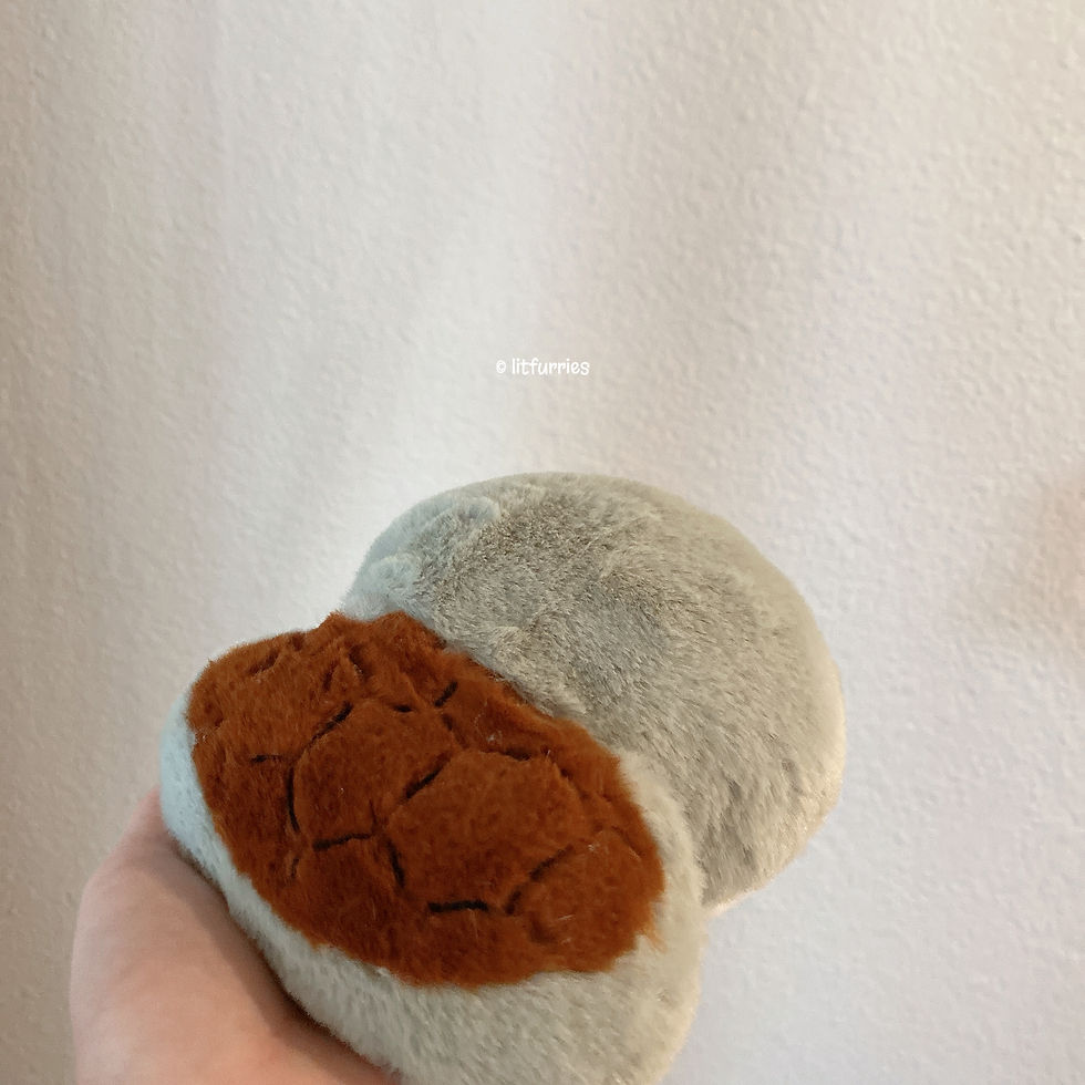 Thumbnail: TURTLE Case for Sennheiser Momentum True Wireless 3/ Momentum True Wireless 4