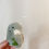 Thumbnail: TURTLE Pocket Pet