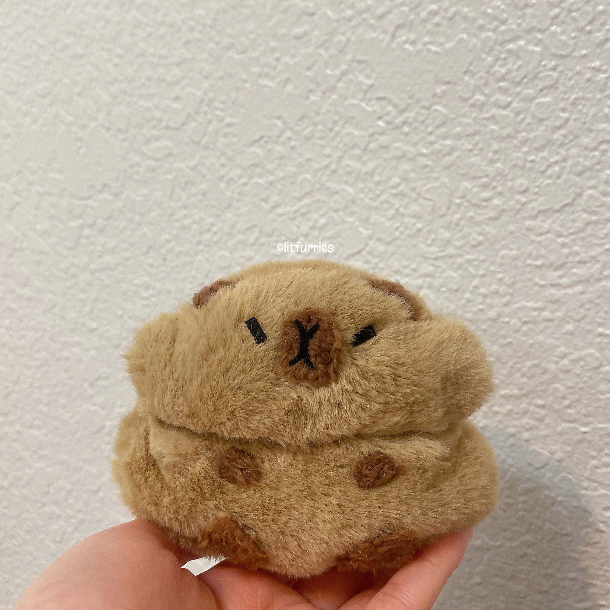 CAPYBARA BOSE ULTRA OPEN CASE COVER