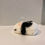 Thumbnail: PANDA CASE FOR BOSE QUIETCOMFORT EARBUDS II/ QUIETCOMFORT ULTRA/ ULTRA OPEN