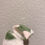 Thumbnail: LILY PAD FROGGY CASE FOR SAMSUNG GALAXY BUDS 3, BUDS 3 PRO