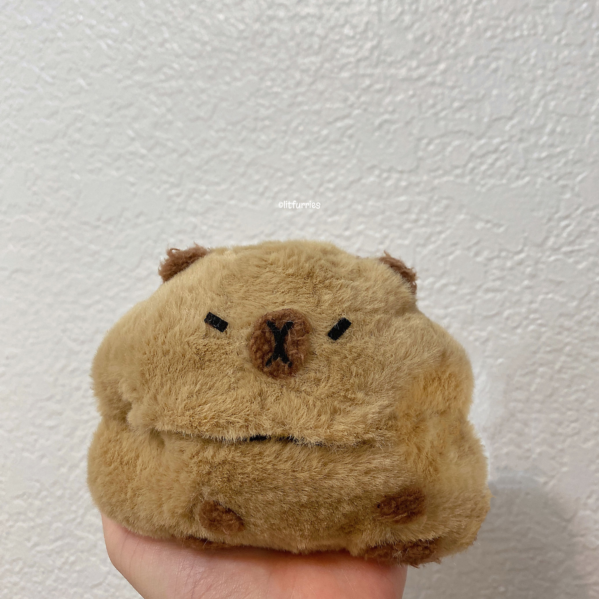 CAPYBARA BEATS FIT PRO/ POWERBEATS PRO CASE COVER