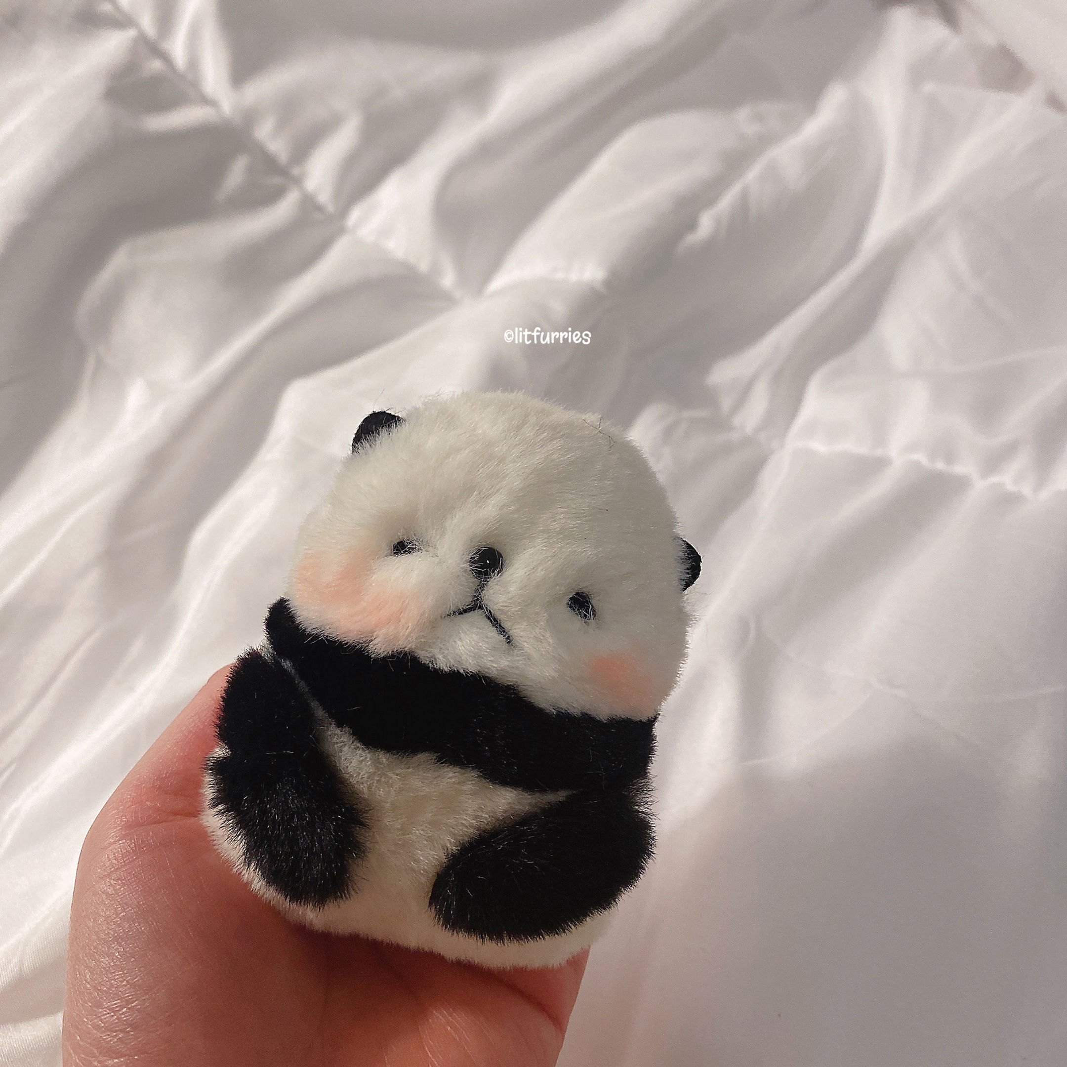 PANDA Pocket Pet