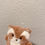 Thumbnail: RACCOON CASE FOR SAMSUNG GALAXY BUDS 3, BUDS 3 PRO
