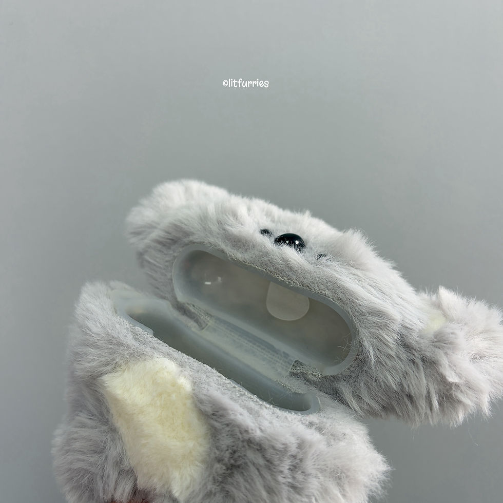 Thumbnail: FLAPPITY KOALA Earphone Case