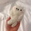 Thumbnail: SEAL PUP Pocket Pet