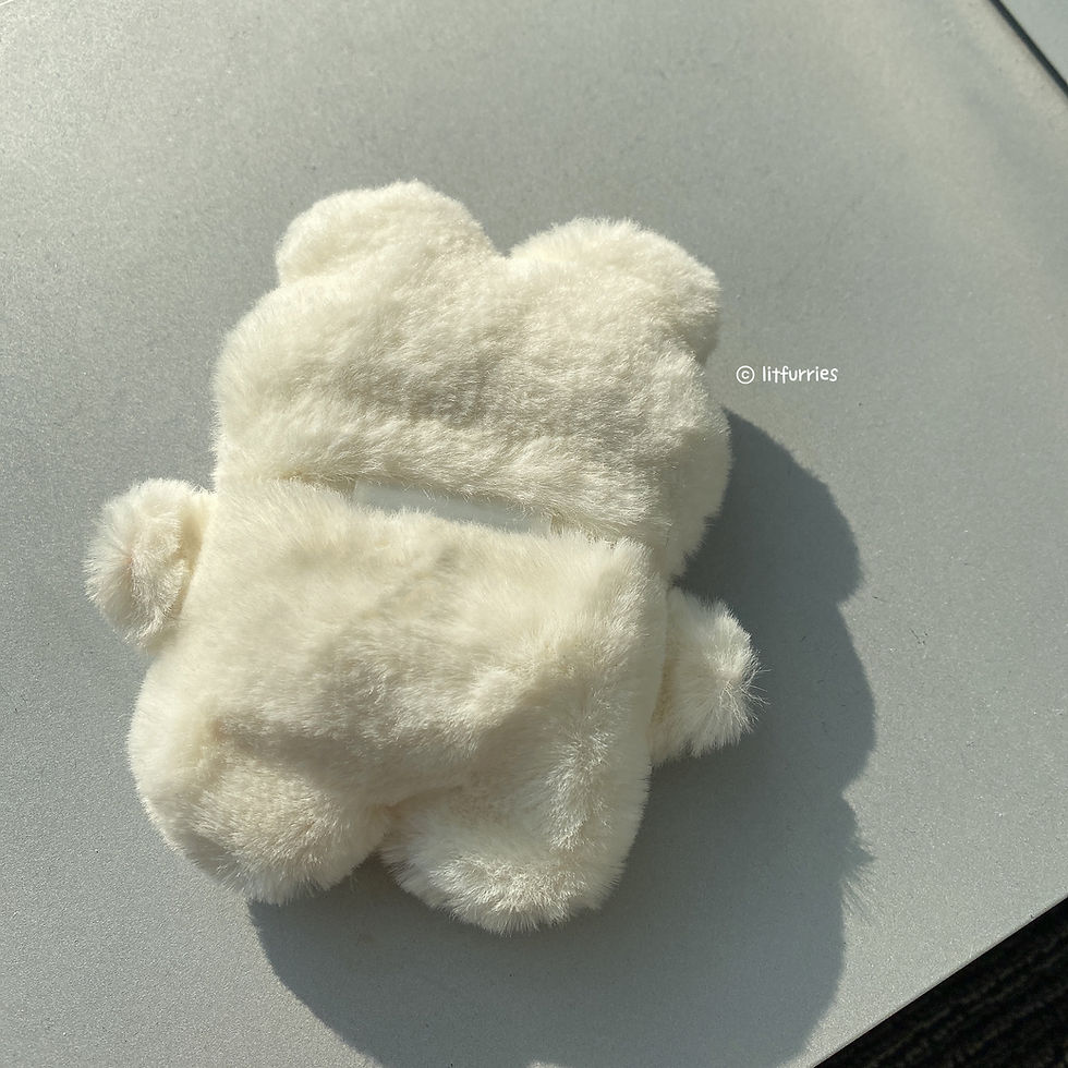 Thumbnail: FROGGY THE ROCK Earphone Case